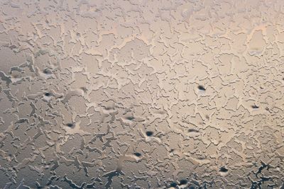 Full frame shot of wet land