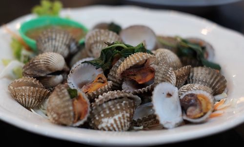 Close-up of clams in plate on table