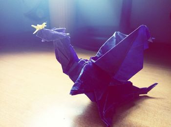 High angle view of purple flowers on table