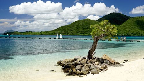 View of rocks on beach