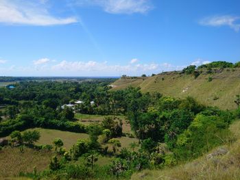 Scenic view of trees on field against sky