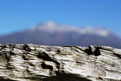 Low angle view of wood against sky