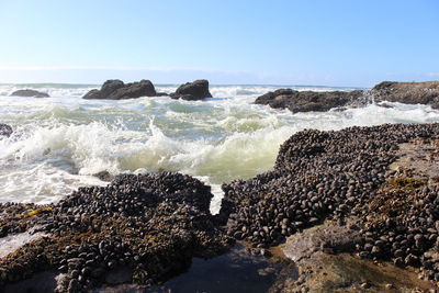 Scenic view of sea against clear sky