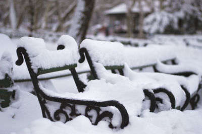 Close-up of snow covered bench