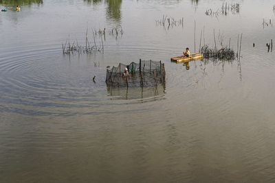 High angle view of birds swimming in lake