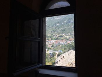 View of trees seen through window