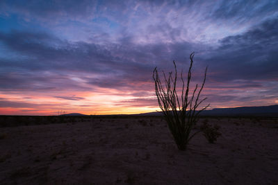 Scenic view of land against sky during sunset