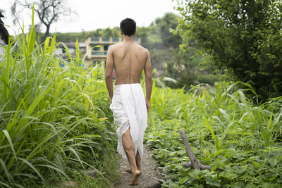 Young indian fit boy, walking on a pathway beside crops in the field. an indian priest walking.