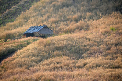 Scenic view of land on field during autumn