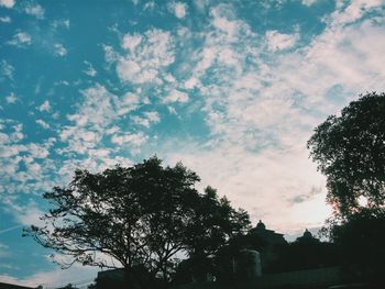 Low angle view of trees against sky