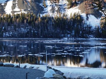 Frozen lake against trees during winter