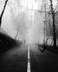 Road amidst bare trees during foggy weather