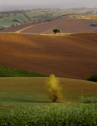 Scenic view of farm against sky