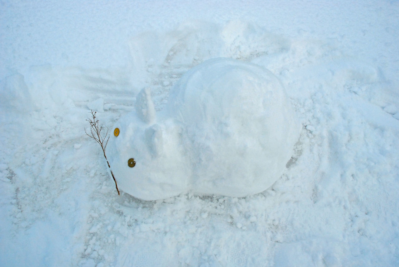 Snow rabbit