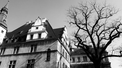 Low angle view of tree and building against sky