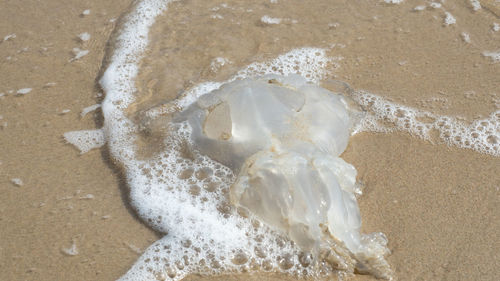 Close-up of sand on beach