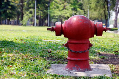 Close-up of fire hydrant in park