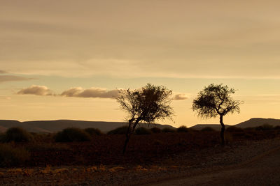Scenic view of field against sky during sunset