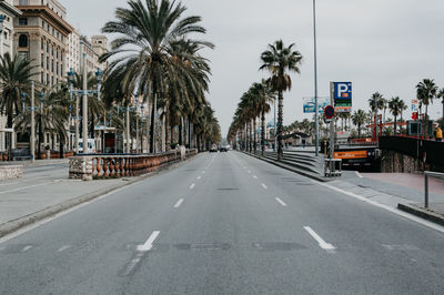 Road by palm trees against sky in city