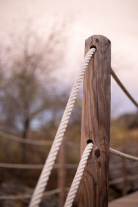 Close-up of rope tied on wooden post