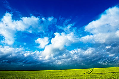 Scenic view of field against sky