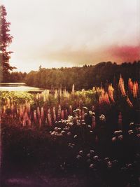 Scenic view of lake against sky at sunset