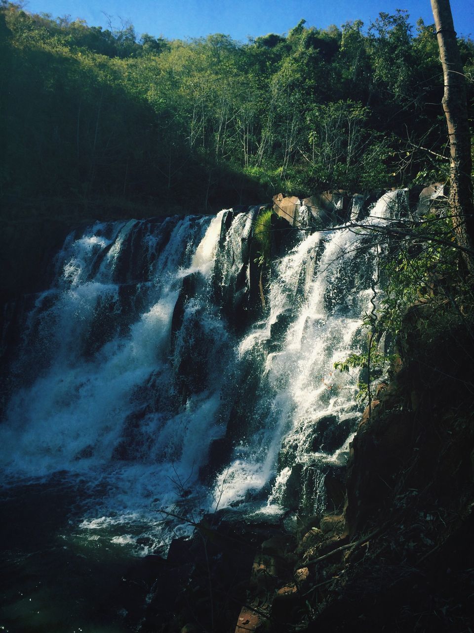 water, flowing water, beauty in nature, waterfall, motion, tree, nature, scenics, forest, flowing, rock - object, tranquility, long exposure, tranquil scene, stream, idyllic, surf, day, outdoors, no people