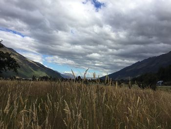 Scenic view of field against sky