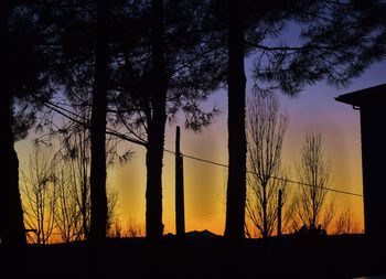 Silhouette trees against sky during sunset