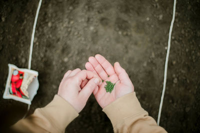 Cropped hand of woman holding hands