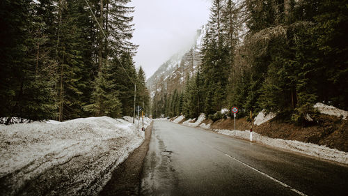 Empty road amidst trees and snow