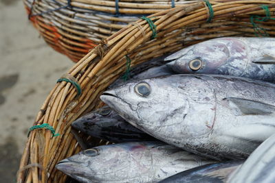 Closeup of pile tuna fish at fishing harbour in indonesia