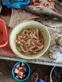High angle view of fish in bowl on table