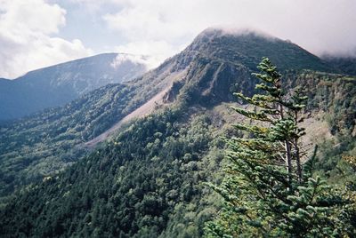 mountain