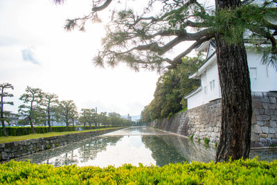 View of pond with buildings in background