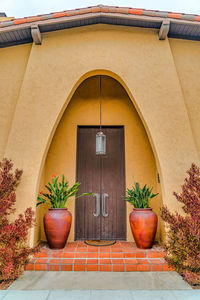 Potted plants on wall of building