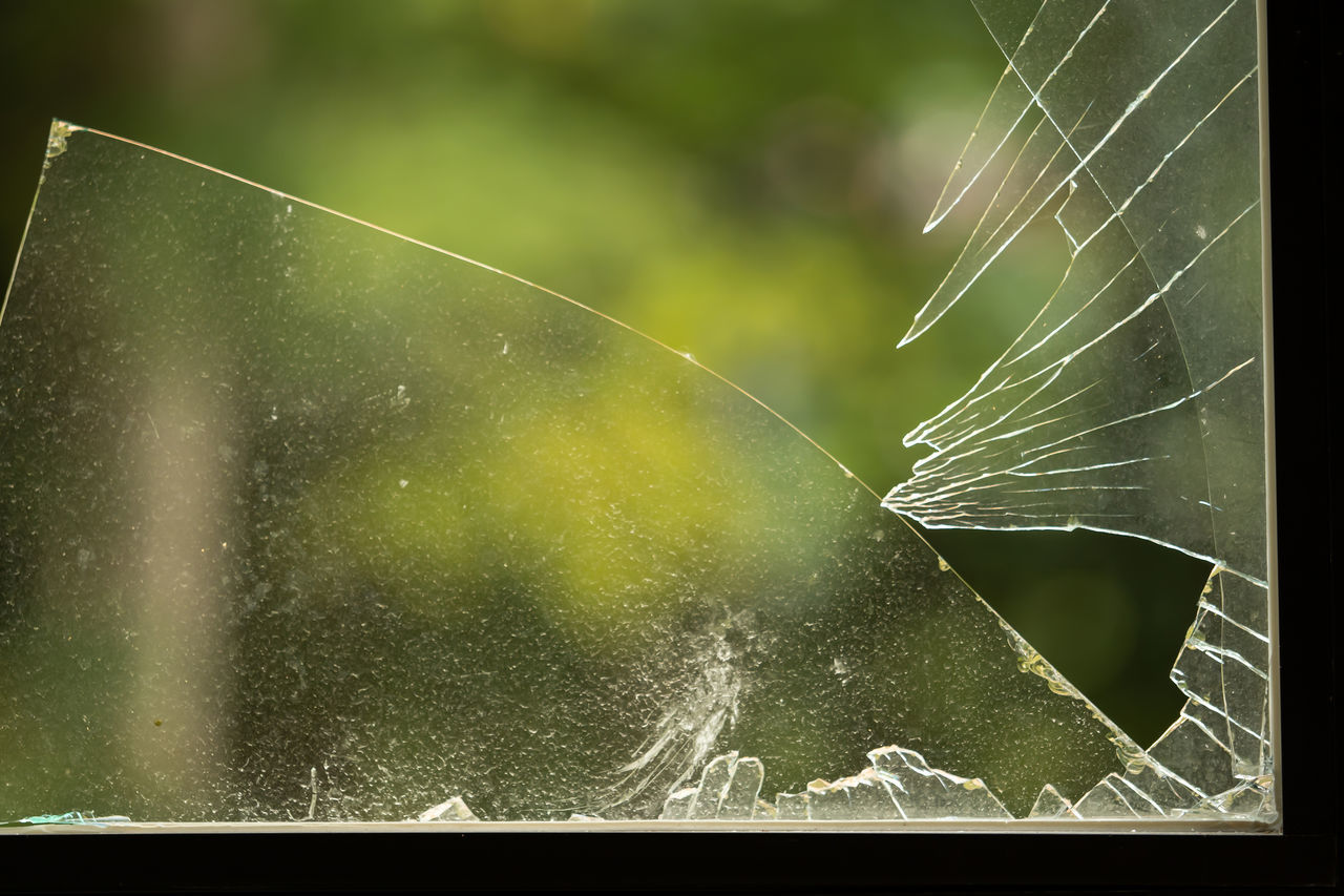 CLOSE-UP OF SPIDER WEB AGAINST PLANTS