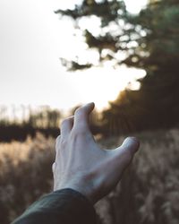 Cropped hand of man reaching sun on field