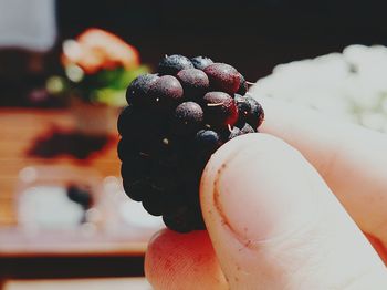 Close-up of cropped hand