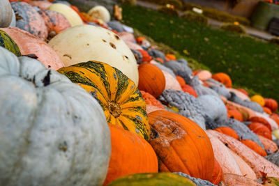 Close-up of pumpkin for sale at market