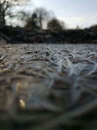 Surface level of stones on field