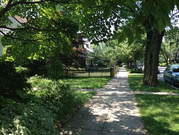 Footpath in park