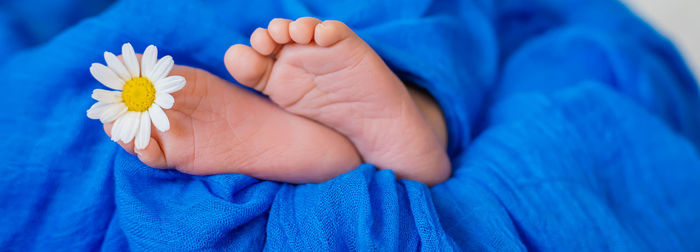 Low section of baby with flower sleeping on bed