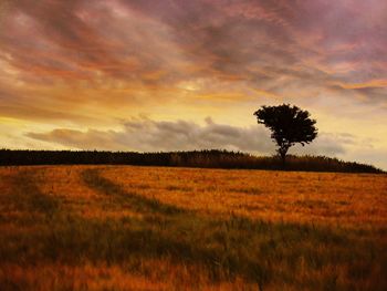 Scenic view of landscape against cloudy sky