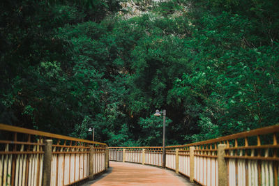 Footbridge in forest