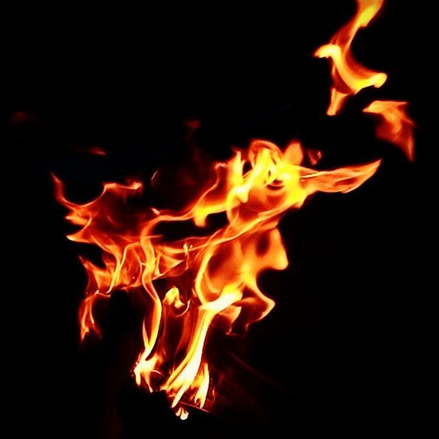 burning, flame, fire - natural phenomenon, heat - temperature, night, bonfire, glowing, campfire, fire, firewood, heat, motion, close-up, orange color, dark, illuminated, long exposure, light - natural phenomenon, no people, yellow