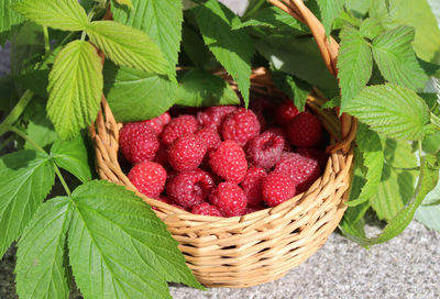 Close-up of strawberries in basket