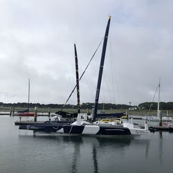 Sailboats moored at harbor against sky