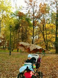 Person holding autumn leaves