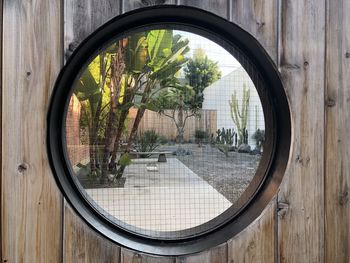 Reflection of trees on glass window